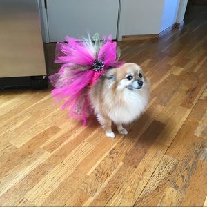 Meet your Posher, Heidi